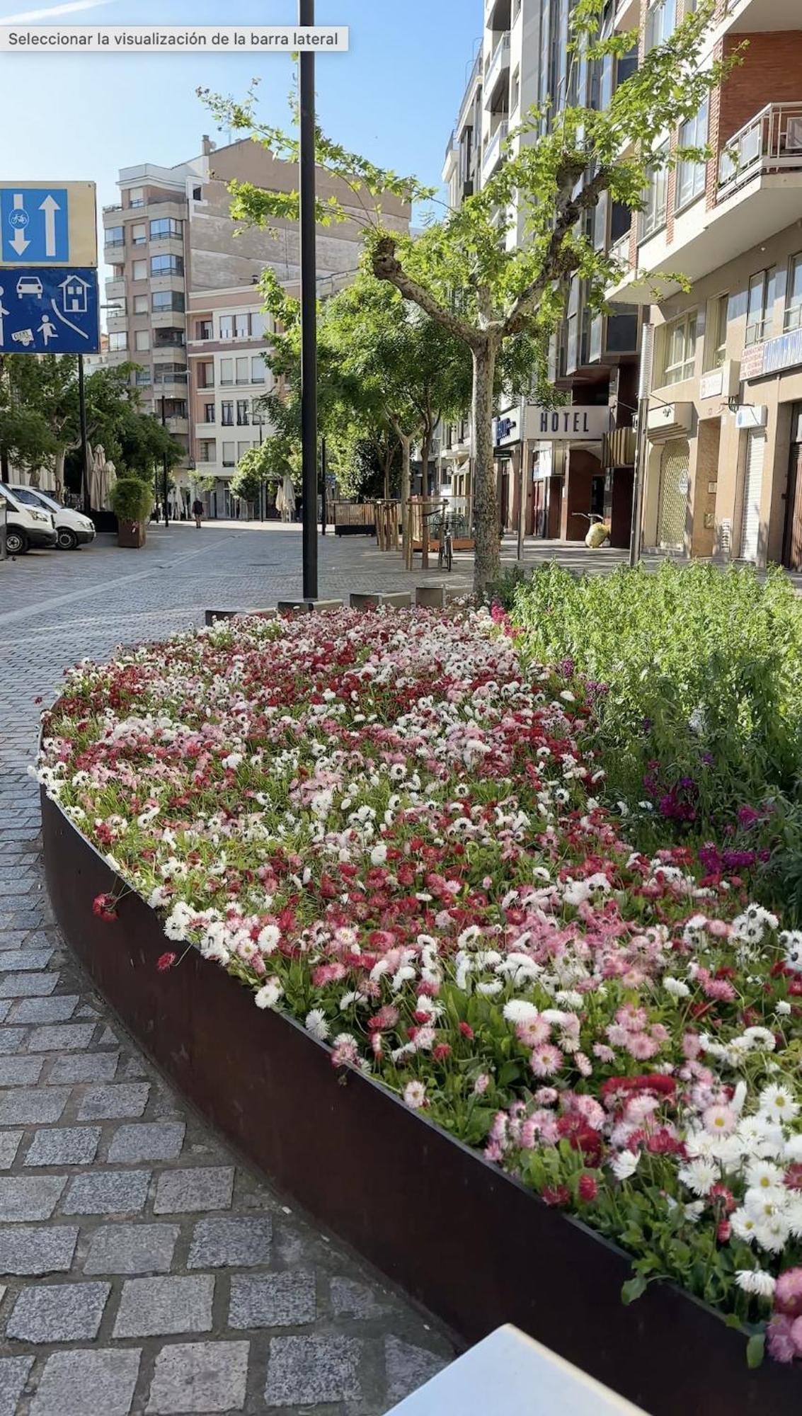Esencia Del Casco Antiguo Apartman Logroño Kültér fotó